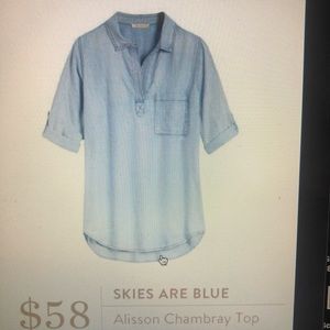 Skies Are Blue Denim top